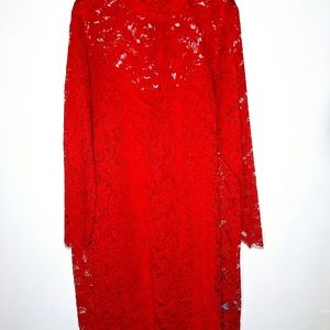 Prosecco woman red lace Valentines Day dress plus size 24W.